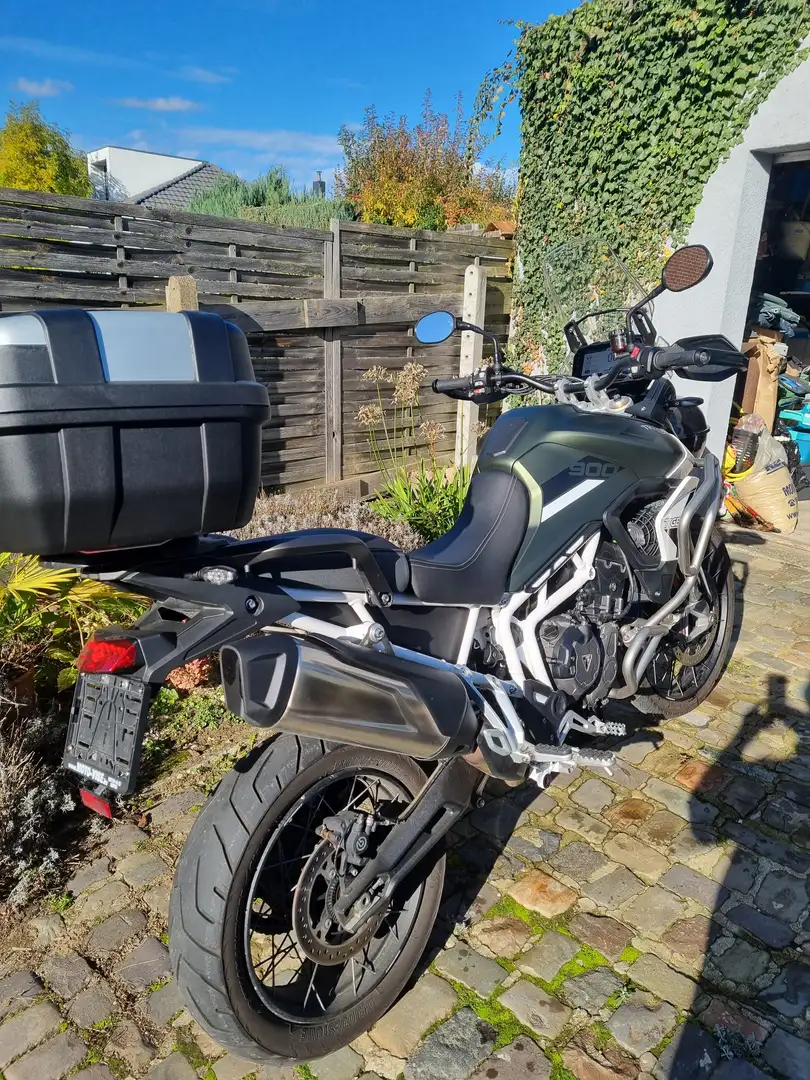 Triumph Tiger 900 Rally Blanc - 2