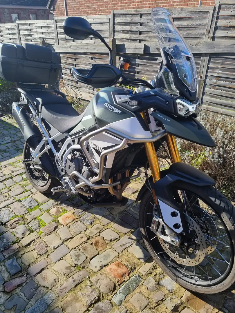 Triumph Tiger 900 Rally Blanc - 1