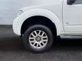 Nissan Navara Doppelkabine LE V6 4X4/AUTOMATIK/HOCH/AHK Weiß - thumbnail 9
