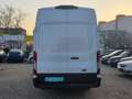 Ford Transit Transit 350 L4/H3 Extra Lang/Hoch Klima-Tempom Schwarz - thumbnail 6