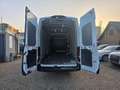 Ford Transit Transit 350 L4/H3 Extra Lang/Hoch Klima-Tempom Schwarz - thumbnail 14