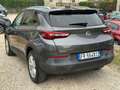 Opel Grandland Grandland X 1.6 diesel Ecotec Start&Stop Ultimate Grau - thumbnail 9