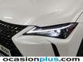 Lexus UX 250h Premium 2WD Blanco - thumbnail 12