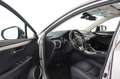 Lexus NX 300 Hybrid 4WD Luxury Szary - thumbnail 9