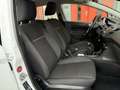 Ford Fiesta 1.0 EcoBoost Titanium, Nieuwe DistributieRiem - thumbnail 10