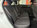 Ford Fiesta 1.0 EcoBoost Titanium, Nieuwe DistributieRiem - thumbnail 12
