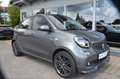 smart forFour Brabus*LED*SHZ*TEMP*RDK*17"* Grau - thumbnail 15
