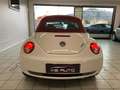 Volkswagen New Beetle Cabrio 1.6 limited Red Edition Alb - thumbnail 5