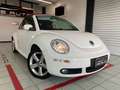 Volkswagen New Beetle Cabrio 1.6 limited Red Edition Alb - thumbnail 2