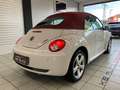 Volkswagen New Beetle Cabrio 1.6 limited Red Edition bijela - thumbnail 4