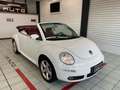 Volkswagen New Beetle Cabrio 1.6 limited Red Edition Bílá - thumbnail 8