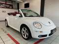 Volkswagen New Beetle Cabrio 1.6 limited Red Edition Beyaz - thumbnail 7