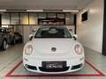 Volkswagen New Beetle Cabrio 1.6 limited Red Edition Blanc - thumbnail 3