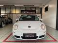 Volkswagen New Beetle Cabrio 1.6 limited Red Edition Bianco - thumbnail 3