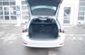 Skoda Octavia Combi 2.0TDI DSG Sondermodell Clever AHK Argent - thumbnail 13