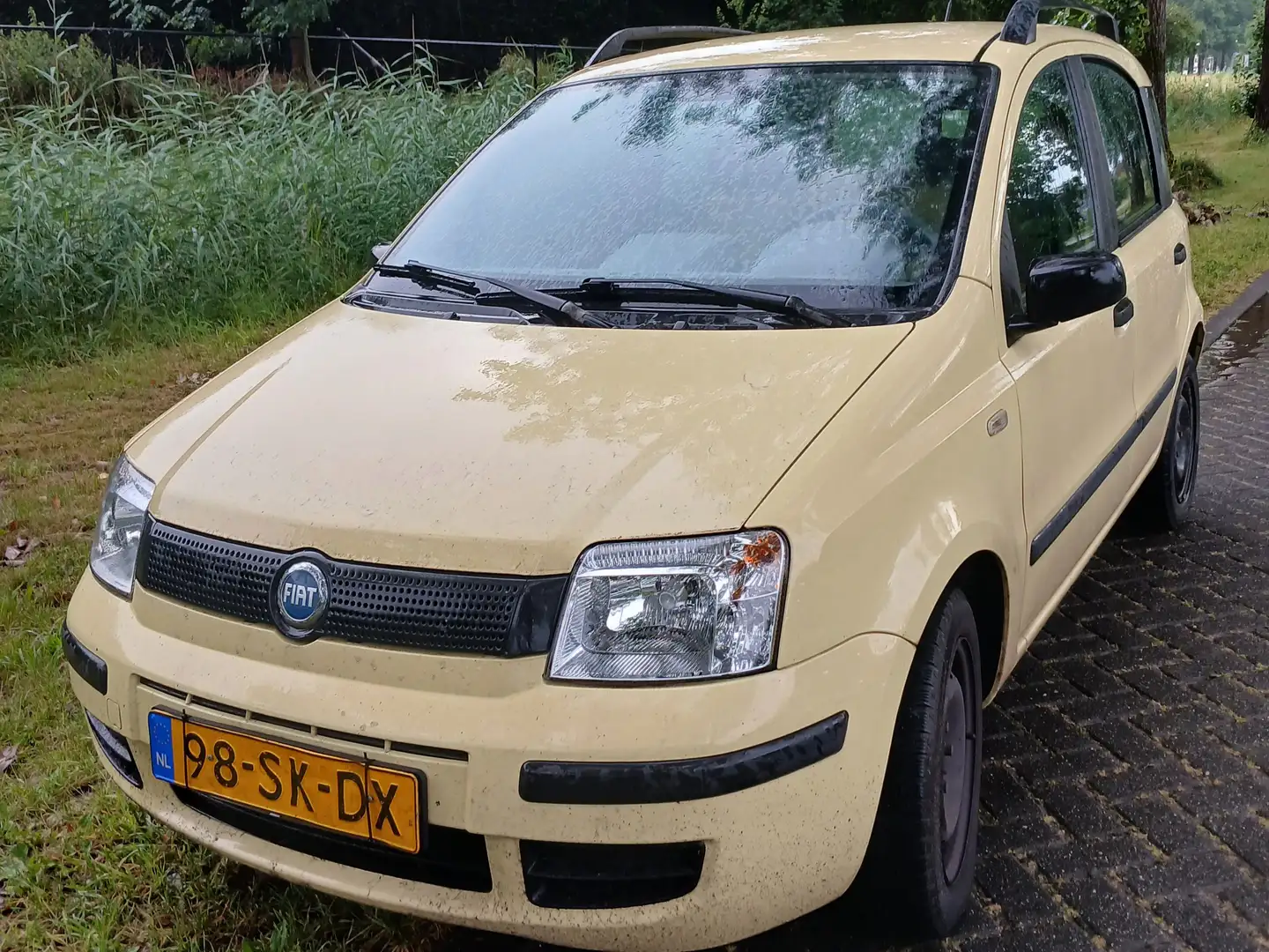 Fiat Panda Panda 1.1 Young Jaune - 1