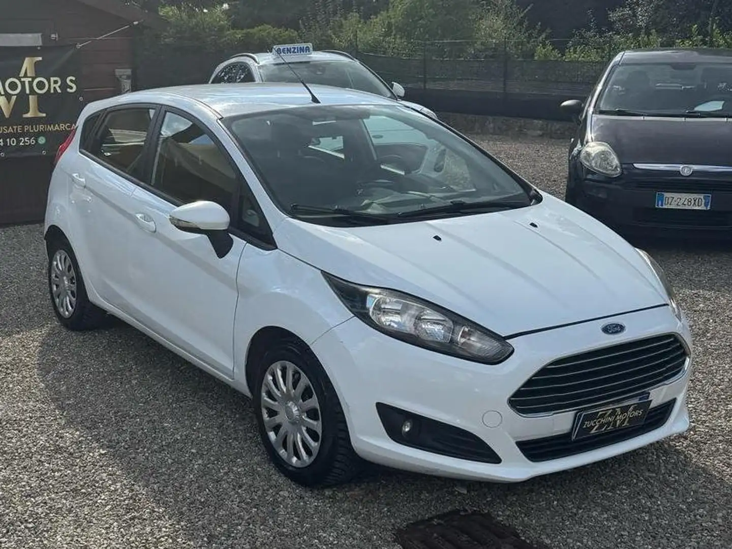 Ford Fiesta Fiesta VI 2008 5p 1.4 16v Titanium Gpl FL Bianco - 1