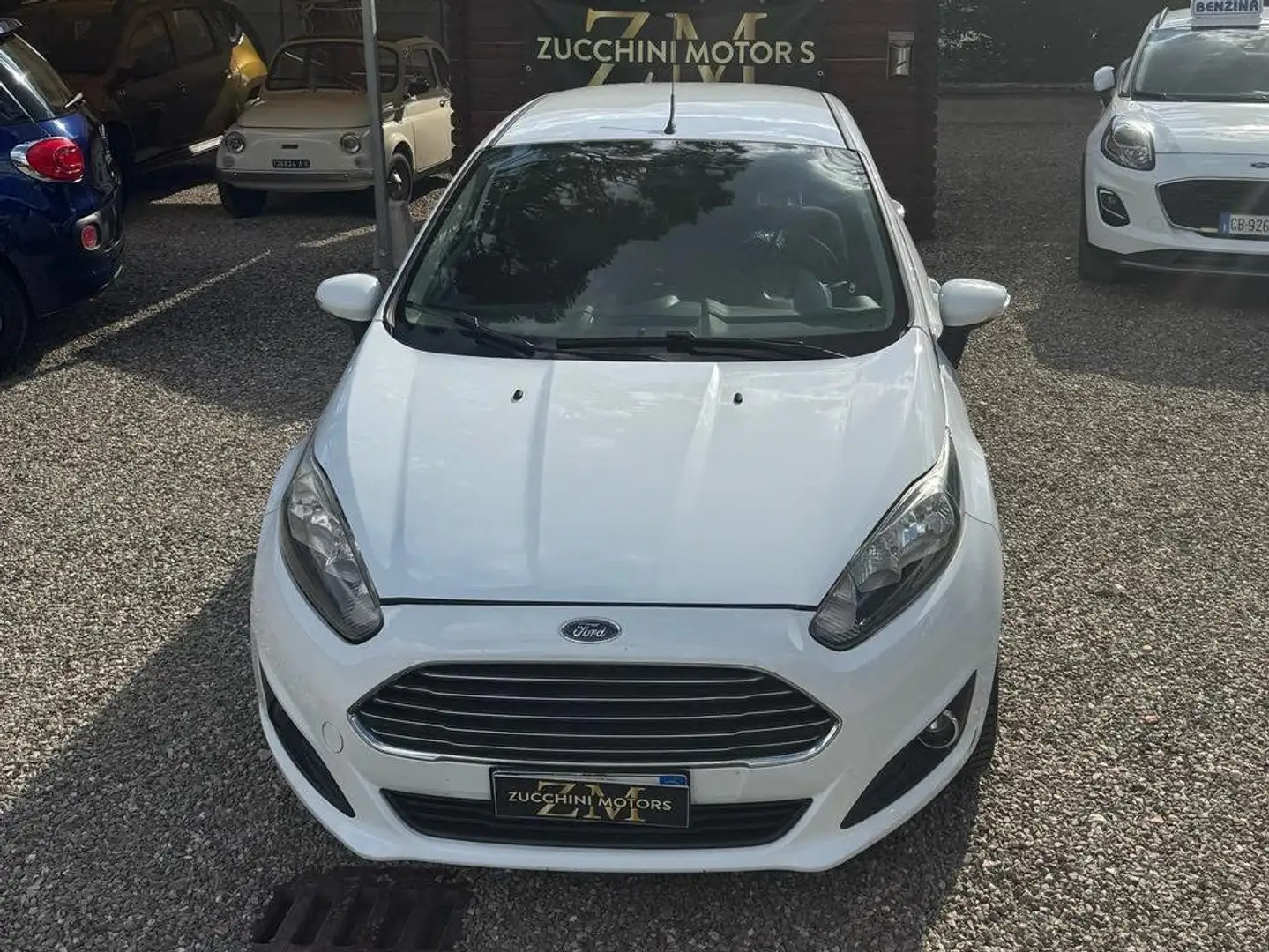 Ford Fiesta Fiesta VI 2008 5p 1.4 16v Titanium Gpl FL Bianco - 2