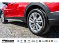 Volkswagen Taigo Life 1.0 TSI DSG TRAVEL KAMERA ACC LED SITZHZG PDC Rood - thumbnail 6