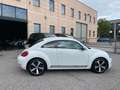 Volkswagen Maggiolino 1.4 TSI SPORT 160HP DSG KM86K CERCHI 18 LED XENO Білий - thumbnail 4