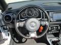 Volkswagen Maggiolino Cabrio 2.0 TDI 150 CV  SOUND Grigio - thumnbnail 14