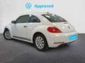 Volkswagen Beetle 1.2 TSI Beetlemanía 105 Blanco - thumbnail 2
