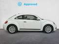 Volkswagen Beetle 1.2 TSI Beetlemanía 105 Blanco - thumbnail 3