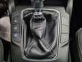 Ford Focus Focus Active 1.0 ecoboost s&s 125cv Wit - thumbnail 47