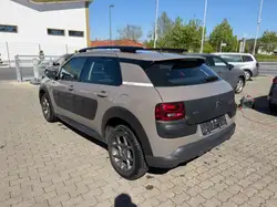 Citroen C4 Cactus in Braun gebraucht kaufen - AutoScout24 Deutschland