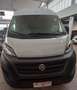 Fiat Ducato 30 2.3 MJT 120CV PASSO MEDIO TETTO ALTO Blanc - thumbnail 1