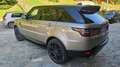 Land Rover Range Rover Sport Range Rover Sport 3.0d i6 mhev SE 249cv auto Bronzo - thumbnail 6