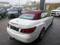 Mercedes-Benz E 220 CDI Aut. CABRIO Weiß - thumbnail 6