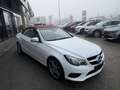 Mercedes-Benz E 220 CDI Aut. CABRIO Weiß - thumbnail 7