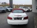 Mercedes-Benz E 220 CDI Aut. CABRIO Weiß - thumbnail 4