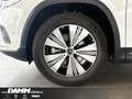 Mercedes-Benz EQA 300 EQA 300 4M Progressive Adv./AHK/Winter-P./+ Flex Weiß - thumbnail 14