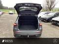 Mercedes-Benz B 250 4M AMG Prem.+Night+AHK+Kamera+LED+Navi+PTS Grau - thumbnail 15