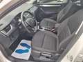 Skoda Octavia Combi Ambition 4x4 Weiß - thumbnail 12