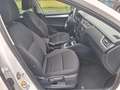 Skoda Octavia Combi Ambition 4x4 Weiß - thumbnail 9