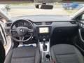 Skoda Octavia Combi Ambition 4x4 Weiß - thumbnail 13