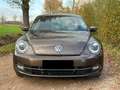 Volkswagen Beetle The Beetle 1.2 TSI Braun - thumbnail 2