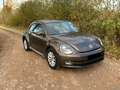Volkswagen Beetle The Beetle 1.2 TSI Braun - thumbnail 1