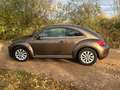 Volkswagen Beetle The Beetle 1.2 TSI Braun - thumbnail 3