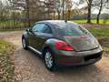 Volkswagen Beetle The Beetle 1.2 TSI Braun - thumbnail 4