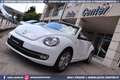 Volkswagen Maggiolino Cabrio 2.0 TDI DSG Karmann Edition Weiß - thumbnail 8