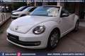 Volkswagen Maggiolino Cabrio 2.0 TDI DSG Karmann Edition Weiß - thumbnail 19