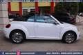 Volkswagen Maggiolino Cabrio 2.0 TDI DSG Karmann Edition Weiß - thumbnail 5