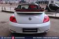 Volkswagen Maggiolino Cabrio 2.0 TDI DSG Karmann Edition Weiß - thumbnail 24