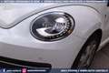 Volkswagen Maggiolino Cabrio 2.0 TDI DSG Karmann Edition Weiß - thumbnail 29