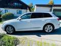 Audi Q7 50 TDI S-Line quattro Matrix LED DAB AHK Weiß - thumbnail 4