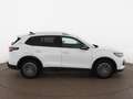 Volkswagen Tiguan 2.0 TDI Goal Aut LED AHK RADAR 360-CAM NAV Weiß - thumbnail 9